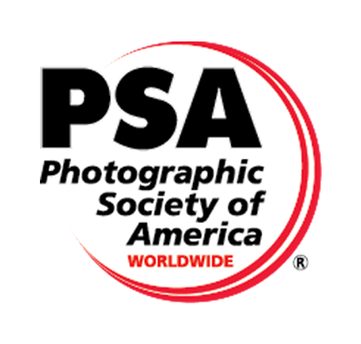 Logo-Patronage-PSA